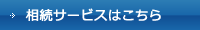 T[rX͂